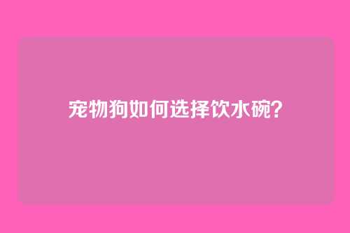 宠物狗如何选择饮水碗？