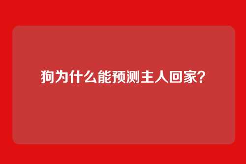 狗为什么能预测主人回家?