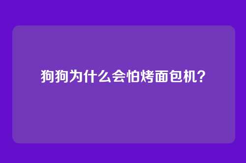 狗狗为什么会怕烤面包机?