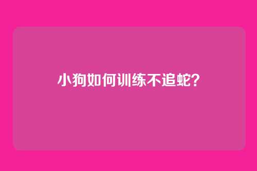 小狗如何训练不追蛇？