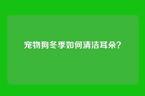宠物狗冬季如何清洁耳朵？