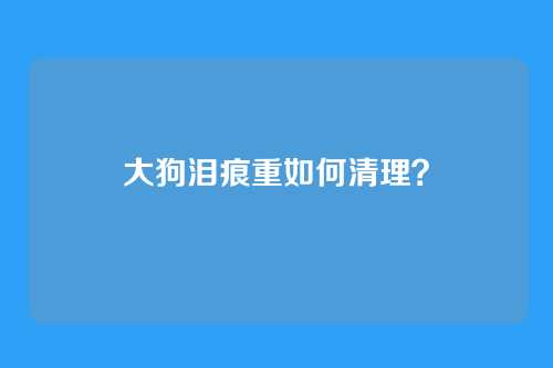 大狗泪痕重如何清理？