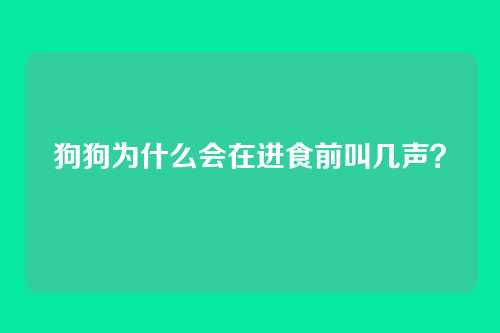 狗狗为什么会在进食前叫几声？