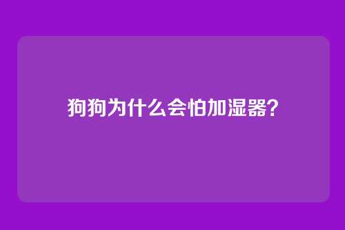 狗狗为什么会怕加湿器?