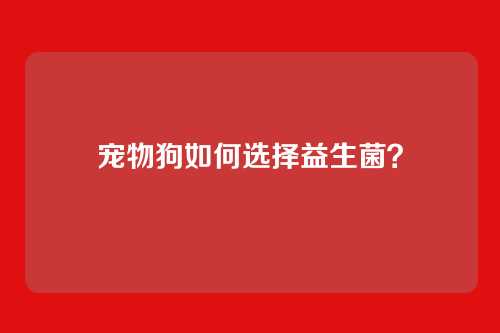 宠物狗如何选择益生菌?