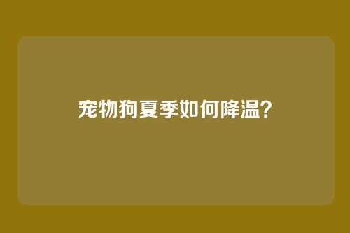 宠物狗夏季如何降温?