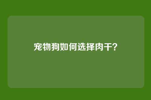 宠物狗如何选择肉干？