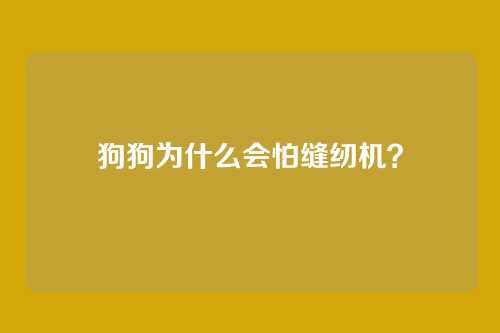 狗狗为什么会怕缝纫机？