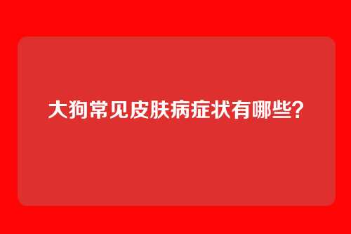 大狗常见皮肤病症状有哪些？