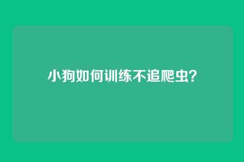 小狗如何训练不追爬虫?
