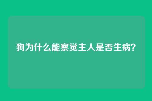 狗为什么能察觉主人是否生病?
