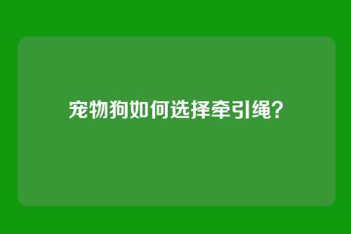 宠物狗如何选择牵引绳？
