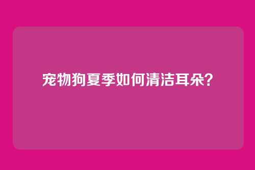 宠物狗夏季如何清洁耳朵?