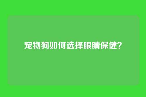 宠物狗如何选择眼睛保健?