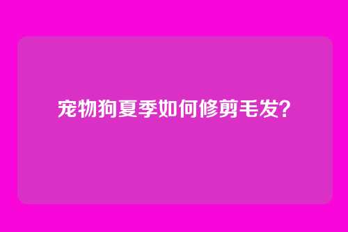 宠物狗夏季如何修剪毛发？