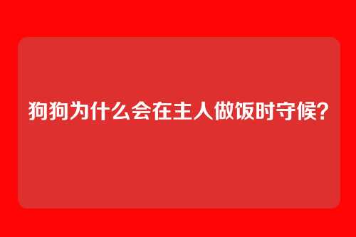 狗狗为什么会在主人做饭时守候？