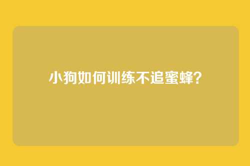 小狗如何训练不追蜜蜂？