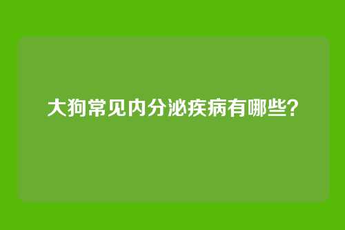 大狗常见内分泌疾病有哪些?