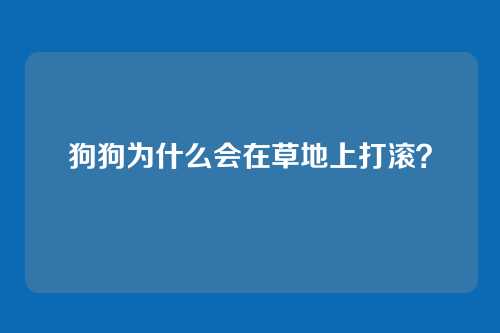 狗狗为什么会在草地上打滚？