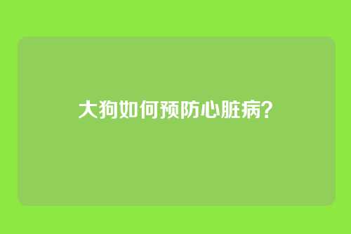 大狗如何预防心脏病？