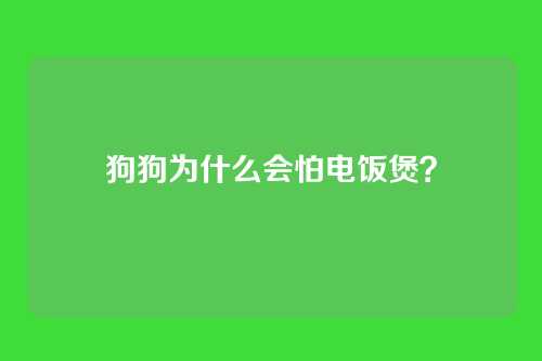 狗狗为什么会怕电饭煲?
