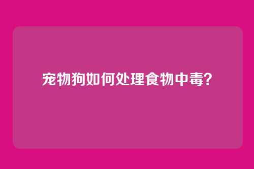 宠物狗如何处理食物中毒?