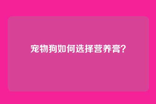 宠物狗如何选择营养膏？