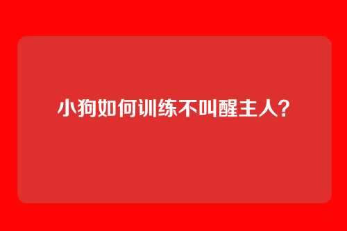 小狗如何训练不叫醒主人？