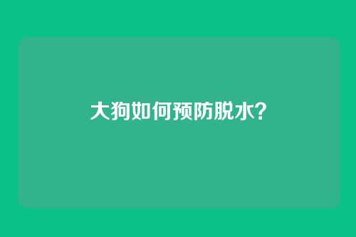 大狗如何预防脱水？