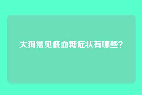 大狗常见低血糖症状有哪些？