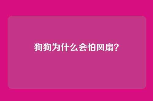 狗狗为什么会怕风扇?