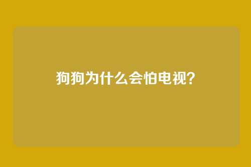 狗狗为什么会怕电视？