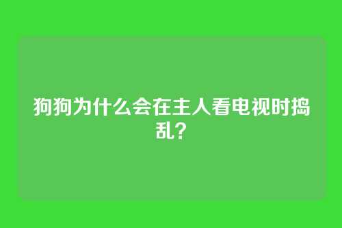 狗狗为什么会在主人看电视时捣乱？