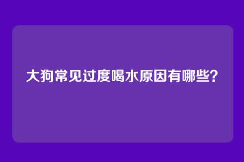 大狗常见过度喝水原因有哪些？