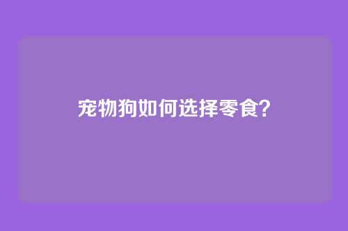 宠物狗如何选择零食?