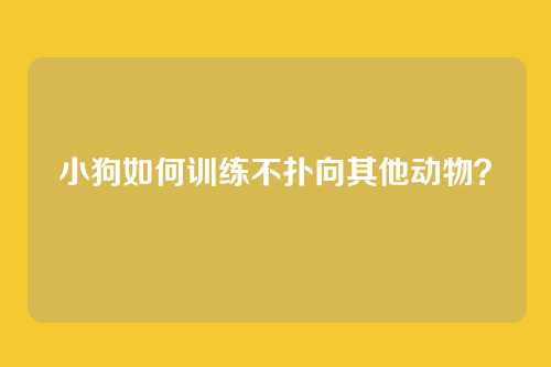 小狗如何训练不扑向其他动物?