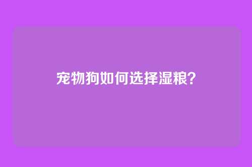 宠物狗如何选择湿粮?