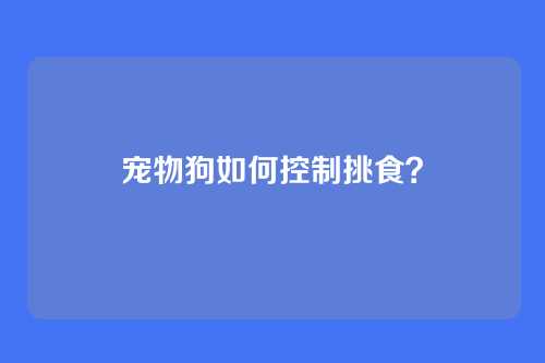 宠物狗如何控制挑食？