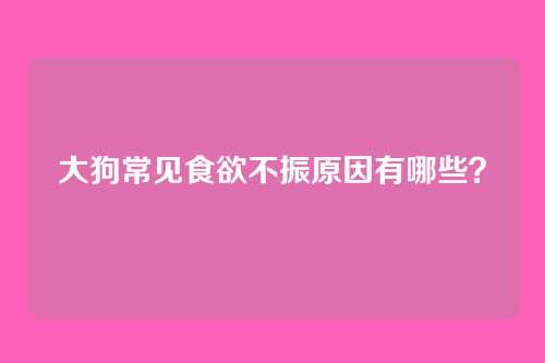 大狗常见食欲不振原因有哪些？
