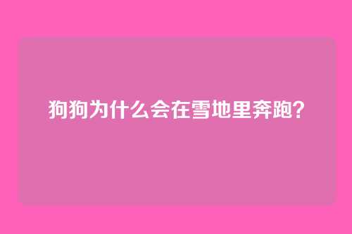 狗狗为什么会在雪地里奔跑？