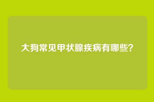 大狗常见甲状腺疾病有哪些？