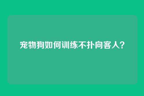 宠物狗如何训练不扑向客人？