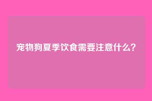 宠物狗夏季饮食需要注意什么？