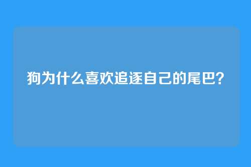 狗为什么喜欢追逐自己的尾巴？