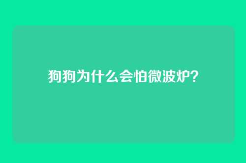 狗狗为什么会怕微波炉？