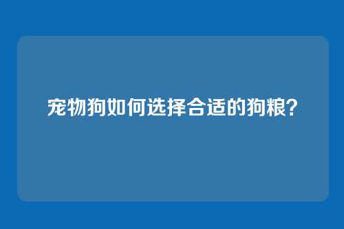 宠物狗如何选择合适的狗粮？