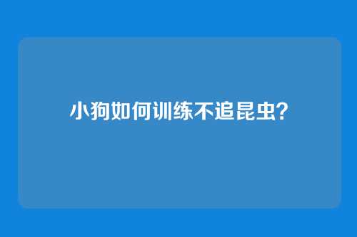 小狗如何训练不追昆虫?