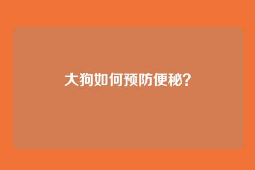 大狗如何预防便秘？