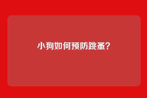 小狗如何预防跳蚤？