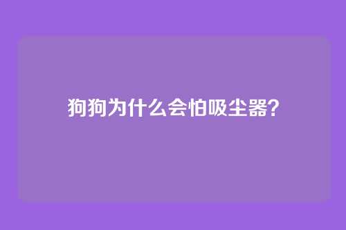 狗狗为什么会怕吸尘器?